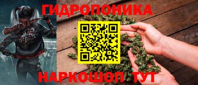 мдпв Можга