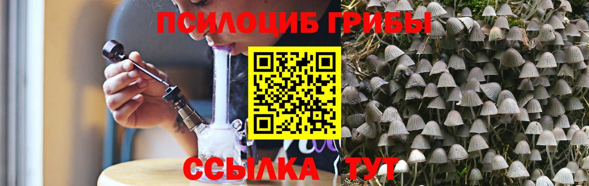 Псилоцибиновые грибы Psilocybine cubensis  Вход с VPN  Губаха 